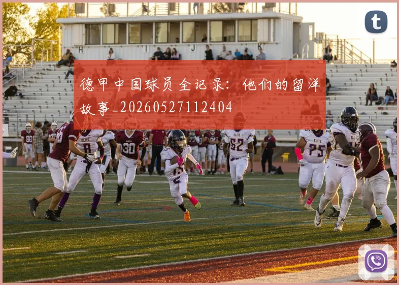德甲中国球员全记录：他们的留洋故事_20260527112404