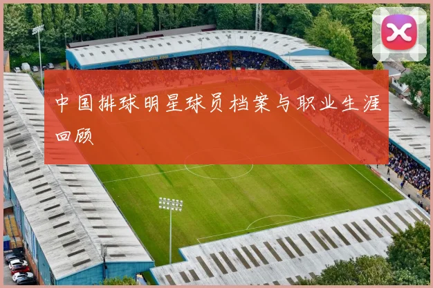 中国排球明星球员档案与职业生涯回顾
