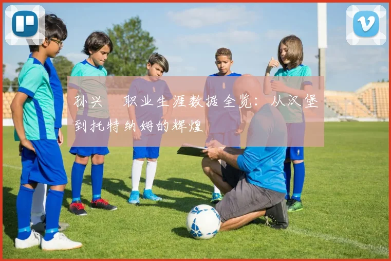 孙兴慜职业生涯数据全览：从汉堡到托特纳姆的辉煌