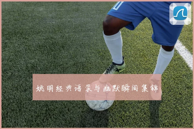 姚明经典语录与幽默瞬间集锦