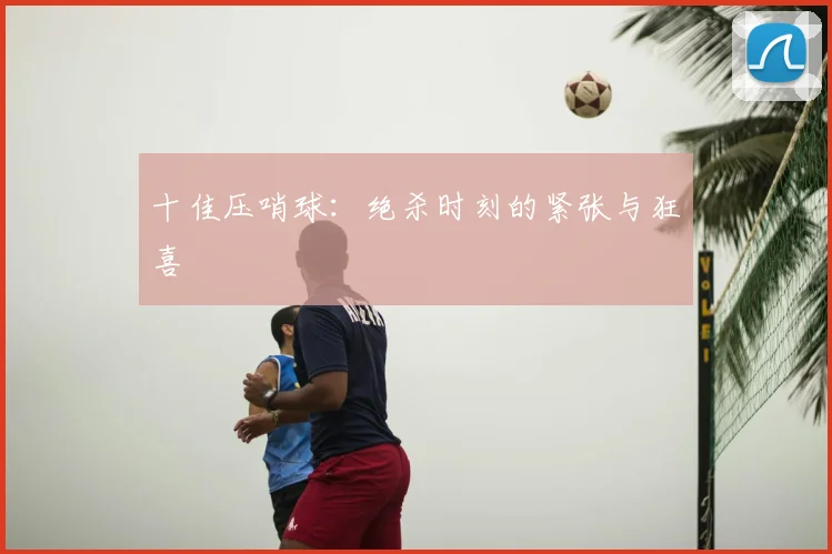 十佳压哨球：绝杀时刻的紧张与狂喜